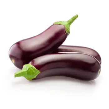 Common Brinjal
